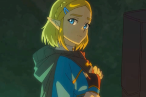Link x Zelda (The Legend Of Zelda) - Maplestar
